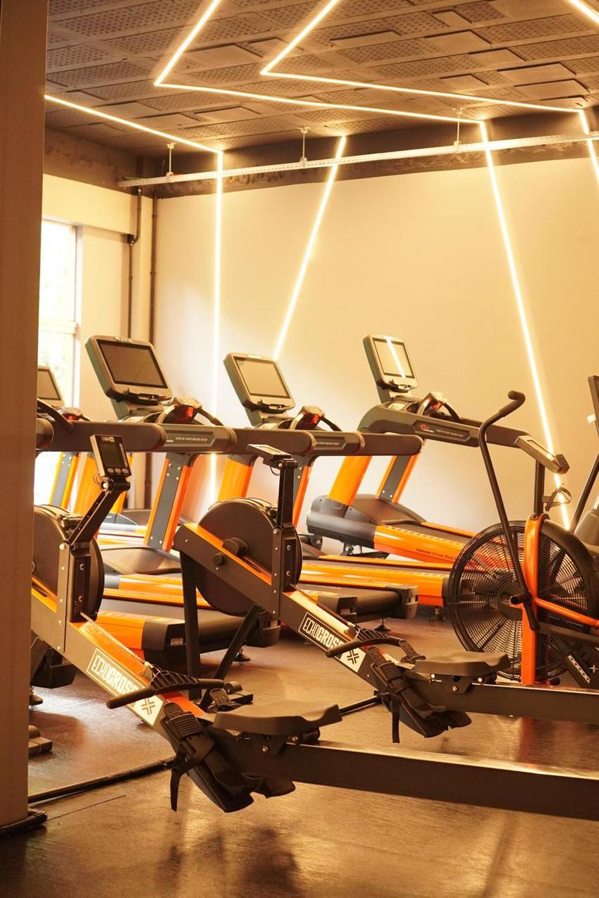 Remadores EchoCross e bike de ar com roda de vento, ao lado da fileira de esteiras junto à janela