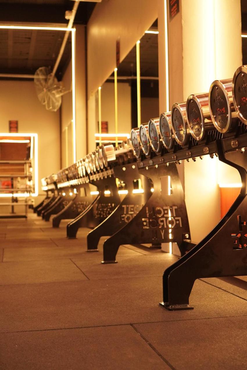 Rack Tech Force em perspectiva, com dezenas de halteres cromados Arms Trainning em ordem crescente